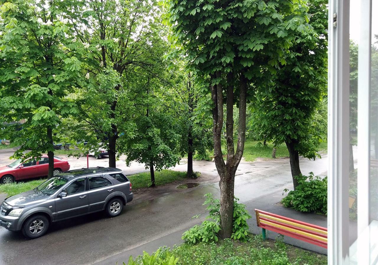Ferienwohnung Уютная, Благоустроенная 2-Комнатная Квартира, Wifi Bobruisk Exterior foto